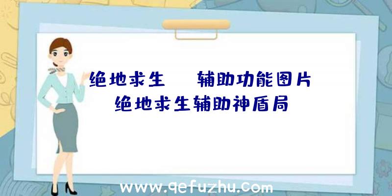 「绝地求生skt辅助功能图片」|绝地求生辅助神盾局